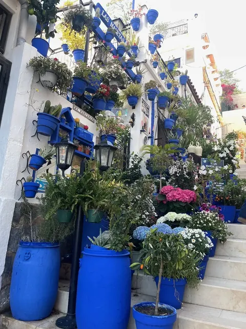 Santa Cruz blue flowerpot stairs, Alicante, our trip 2024 to 2026