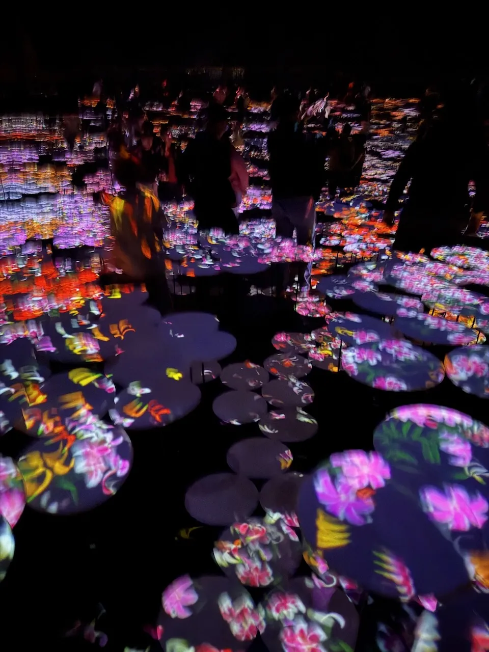 Glowing flower artwork reflected on a dark floor at teamLab Borderless, Tokyo